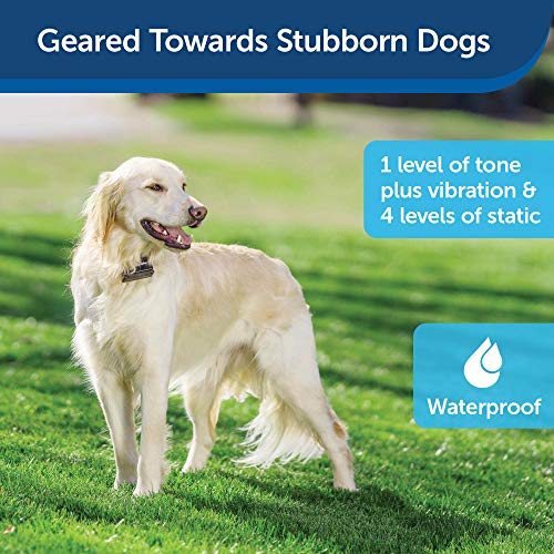 PetSafe Stubborn Dog In-Ground Fence System - High-Intensity Static Correction - Tone & Vibration Modes - Waterproof Adjustable Collar - Expandable Design - Wire Sold Separately