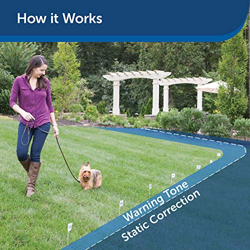 PetSafe Stubborn Dog In-Ground Fence System - High-Intensity Static Correction - Tone & Vibration Modes - Waterproof Adjustable Collar - Expandable Design - Wire Sold Separately