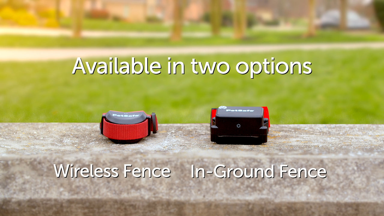 PetSafe Stubborn Dog In-Ground Fence System - High-Intensity Static Correction - Tone & Vibration Modes - Waterproof Adjustable Collar - Expandable Design - Wire Sold Separately